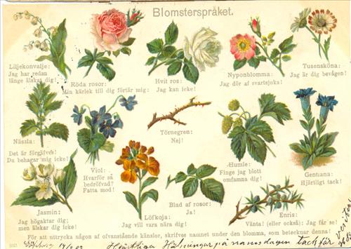 20. Blomsterspråket