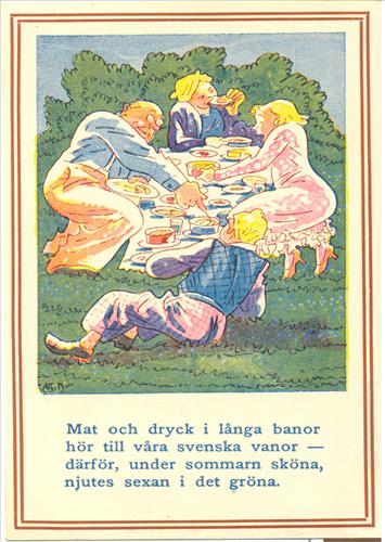 17. Picnic i det gröna